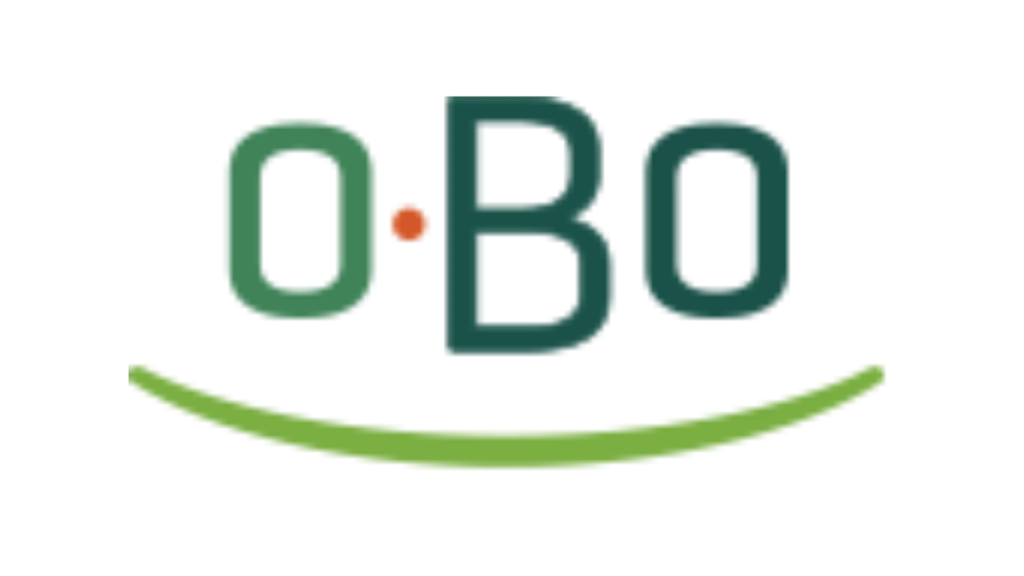 Logo for S.E.B Tømrer & Ejendomsservice ApS med grøn og orange farver.